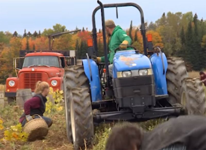 Harvest Break in Aroostook County Where Kids Get Three Weeks Off School Each Fall to Help With the Harvest