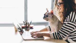 pet-friendly workplace