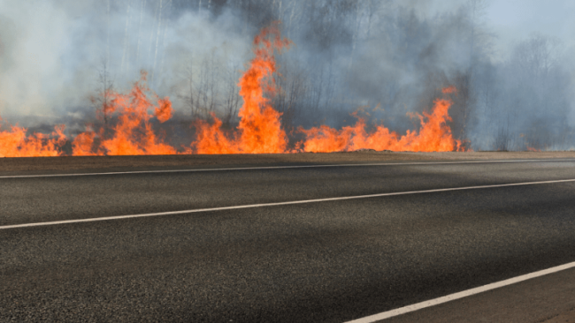 WEX California Wildfires