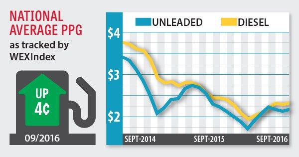 opec gasoline price